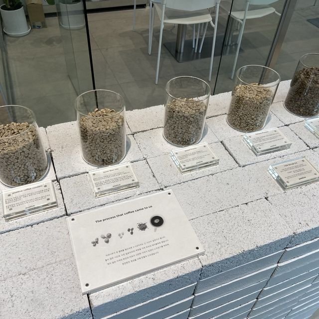 청주 분위기 좋은 카페, 성화동 포지티브 커피로스터스