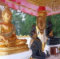 ชวนเที่ยววัดมรุดขนคร 