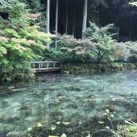 モネの池(通称)