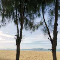 หาดจอมเทียนพัทยา