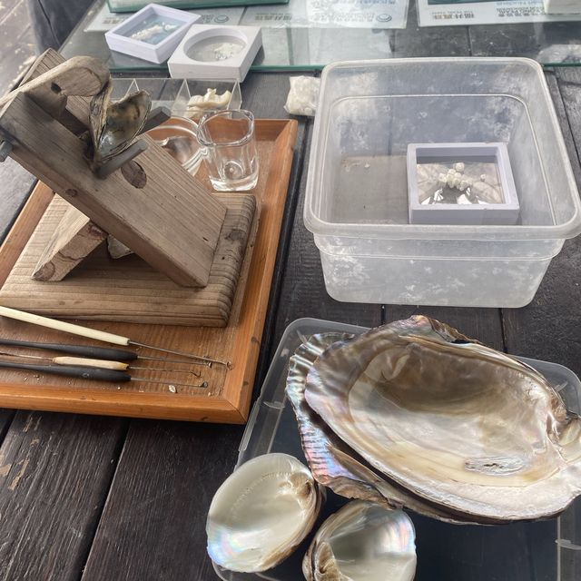 本地海排 x 珍珠養殖場 🐚  本地海排 x 珍珠養殖場 🐚