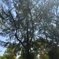 最受旅客歡迎 ! 淺水灣沙灘！超級有度假 feel !