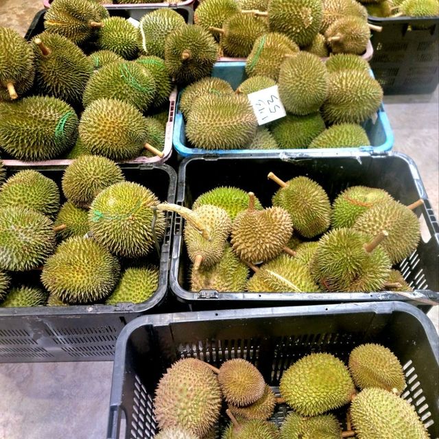 World of Durian @ SS2