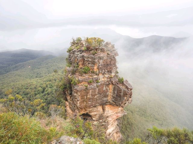 🏞대자연 풍경이 눈앞에서 펼쳐지는 “블루 마운틴스 국립공원”