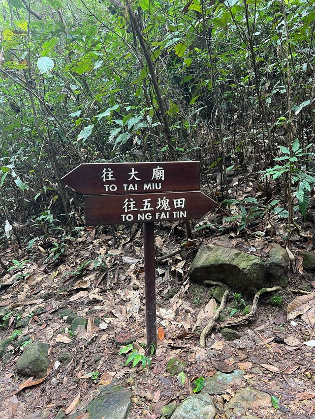 The fastest way to reach one of the top 3 sharpest peaks in Hong Kong