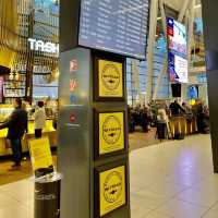 Budapest Airport - Budapest, Hungary