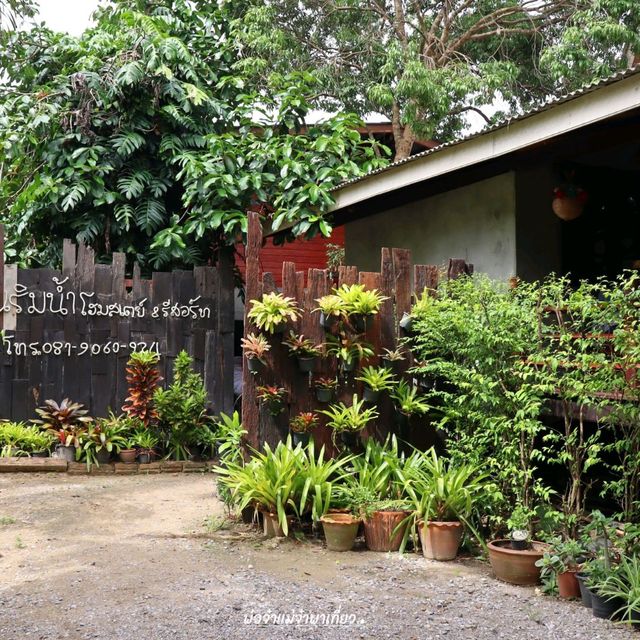 กรีนเนอรี่ คาเฟ่ @อัมพวา