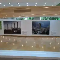 大自然保護協會攝影比賽作品展的個人體驗及感受