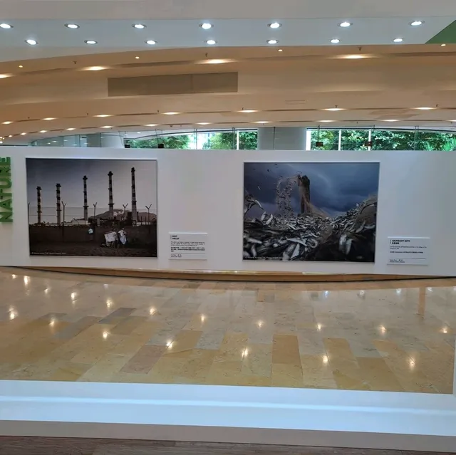 大自然保護協會攝影比賽作品展的個人體驗及感受