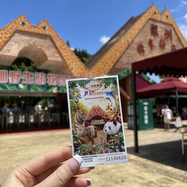 中國深圳｜野生動物園親親長頸鹿🦒小香豬🐷