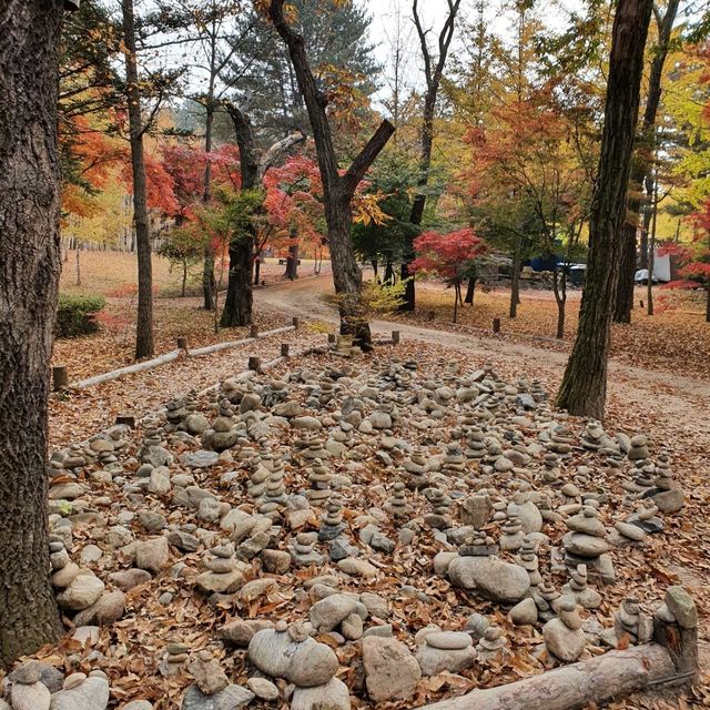 남이섬의 가을