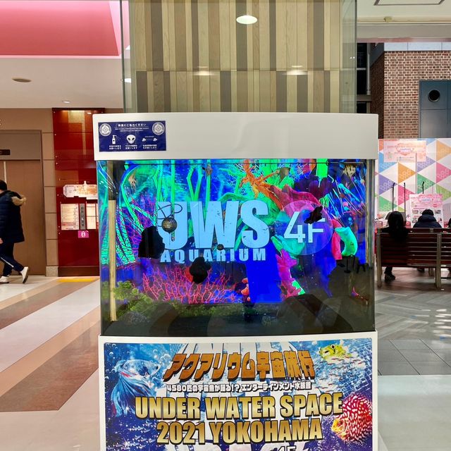 家族にお勧め🎶横浜ワールドポーターズ 家族にお勧め🎶横浜ワールドポーターズ