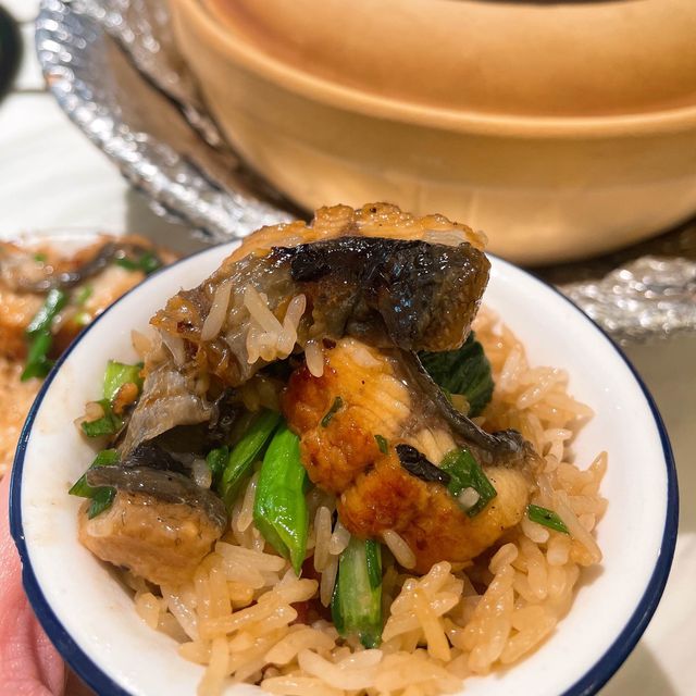 深圳雙榜第一的豬肚雞+煲仔飯探店💭超高質