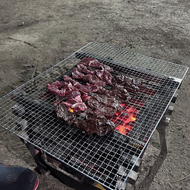 여름하면 캠핑!🏕️ 반려견과 함께하는 ‘몽산포청솔오토캠핑장’
