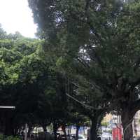台中公園