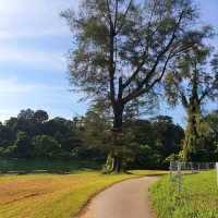 singapore's tropical gem