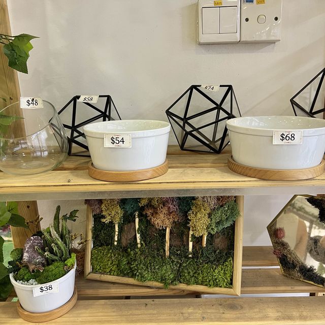 ☘️ Therapeutic Time with Terrarium in SG 🌿