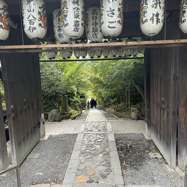 "Exploring Kyoto's enchanting beauty” 