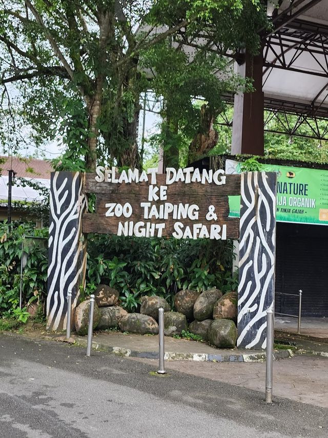 Taiping Zoo and Night Safari ✨