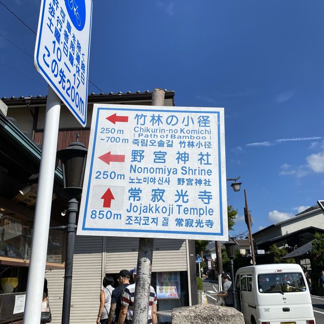 嵐山竹林の小径（ちくりんのこみち）京都の人気観光スポット