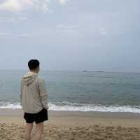 넓고 푸른 동해안의 자랑 강릉 안목해변🌊