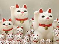 【東京都/豪徳寺】大小さまざまな招き猫がいる寺院