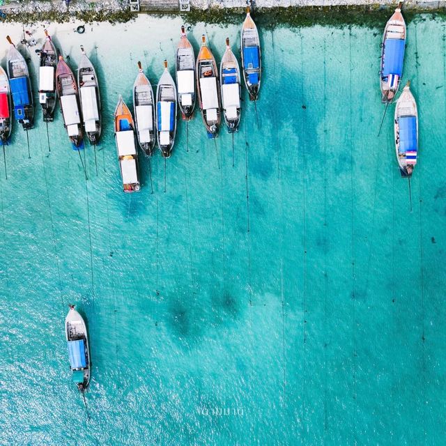 เที่ยว One Day Trip : เกาะพีพี 🏝️🌊