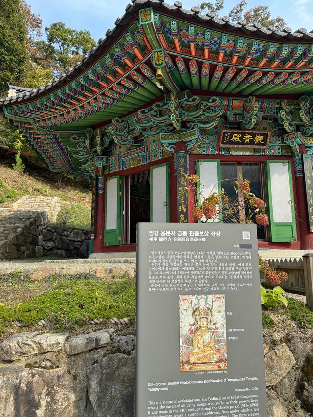 양평 가볼만한곳 용문사 천년 은행나무
