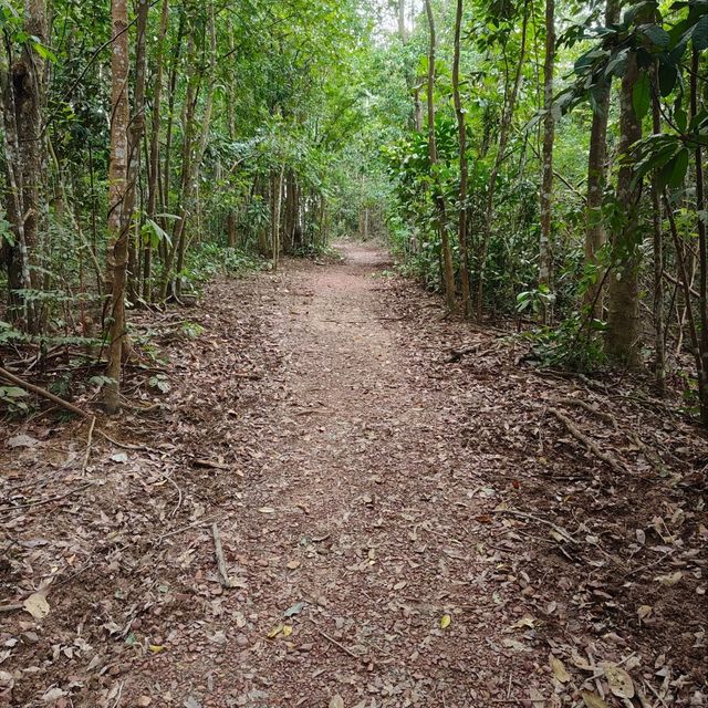 Hiking in kuala muda