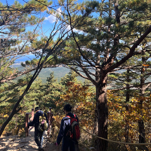 단풍을 즐기고 싶다면 강원도 금강산 신선대(화암사) 추천🙌