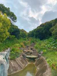 寶安公園～綠意盎然的遊樂天堂🌳🎠🌈 
