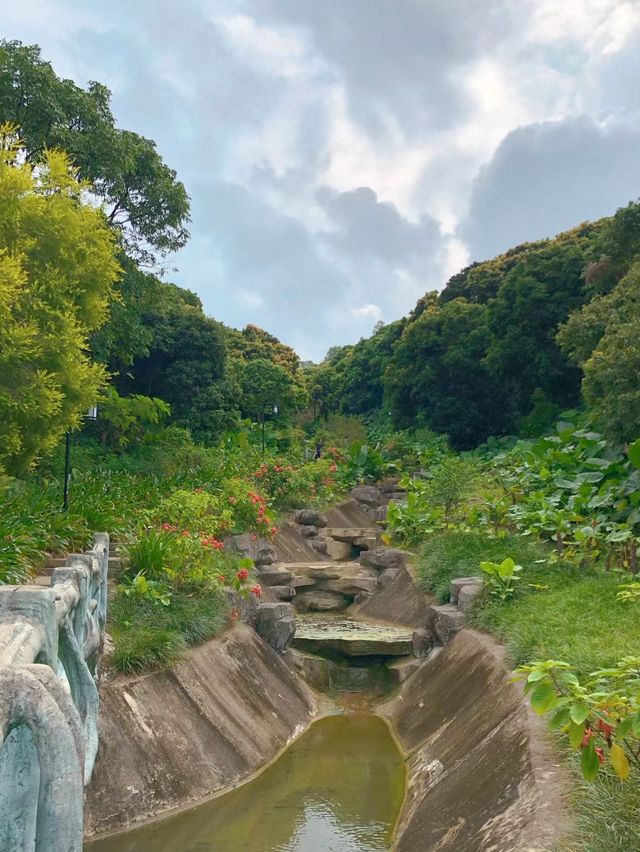 寶安公園～綠意盎然的遊樂天堂🌳🎠🌈 