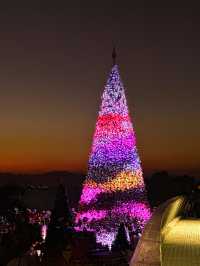 香港｜西九龍的海邊聖誕樹🎄與日落有點搭