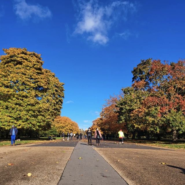 Hyde Park Unveiled: A  London Oasis