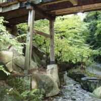 名古屋 - 「德川園」