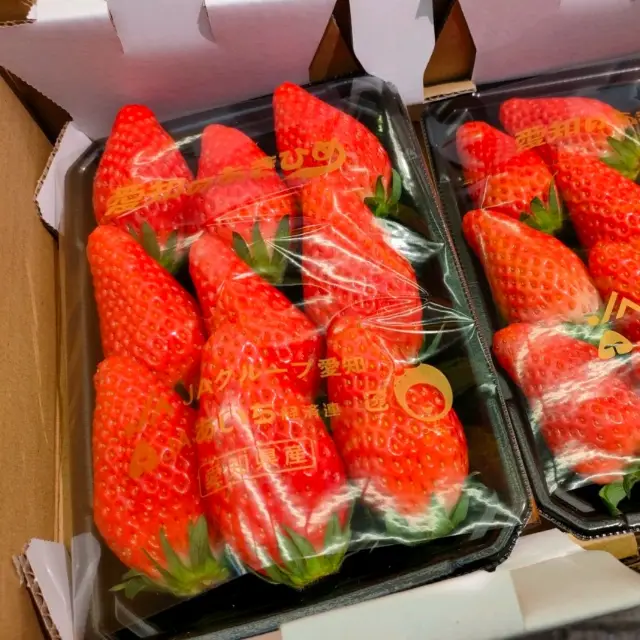 【大阪 黒門市場】今から旬🍓絶品いちご🍓イチゴ🍓苺🍓