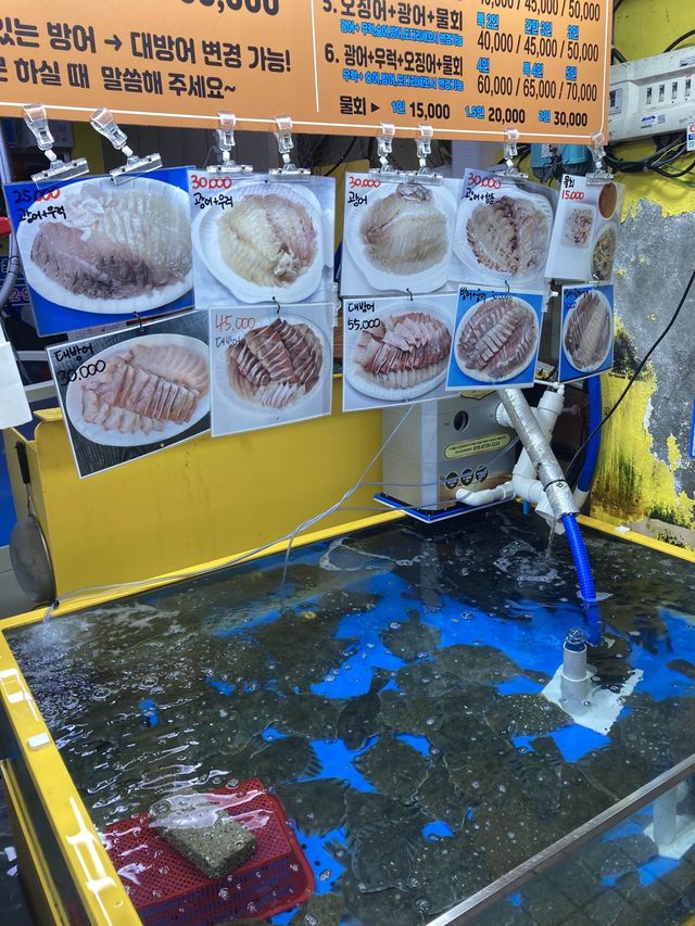 강릉 왔으면 빼놓을 수 없는 회