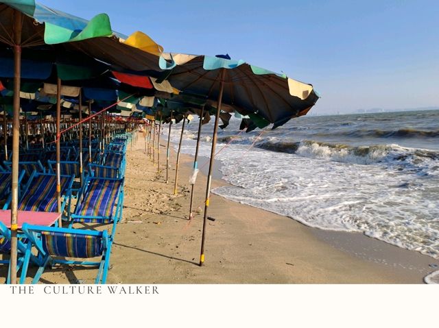 รับวิตามิน sea ด่วนๆที่หาดบางแสน