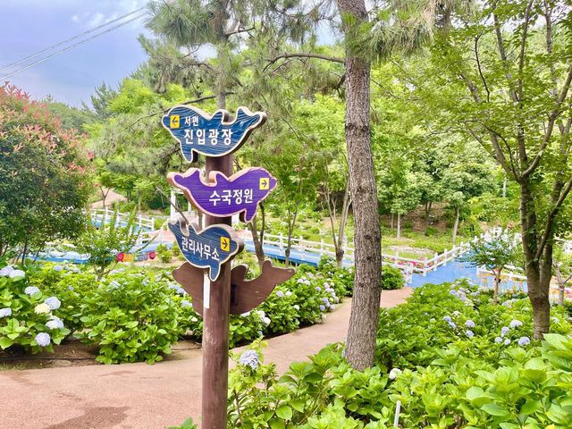 울산의 숨은 수국 핫플 💐 동화속같이 예쁜 수국정원💖
