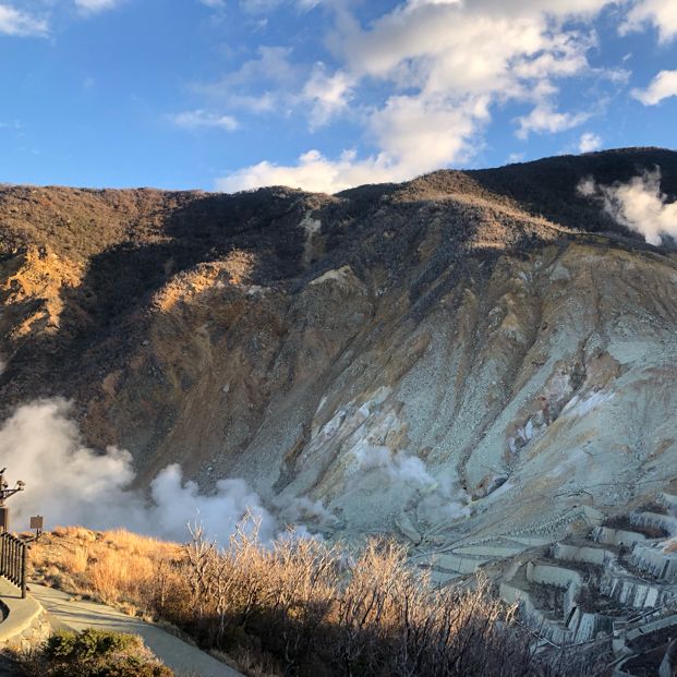 箱根大涌谷🌋 硫磺火山口♨️必嚐黑玉子🥚遠眺富士山🗻