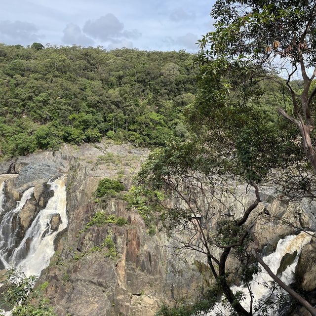 Kuranda your way to the railway!