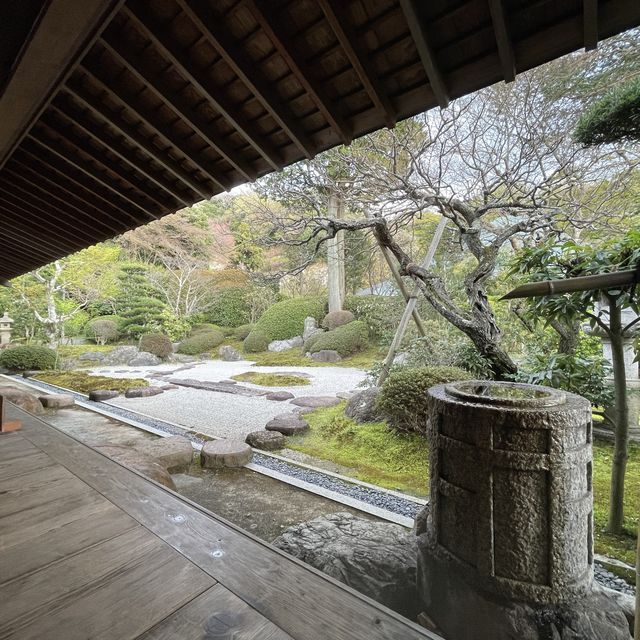 静けさと穴場のお寺と抹茶スポット