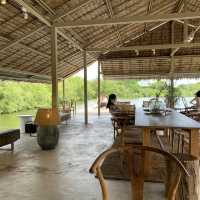 คาเฟ่บรรยากาศดี  PULSE/BANG KHUN THIAN