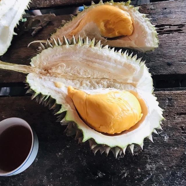 馬來西亞寶盛園民宿