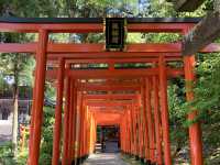 岐阜　岐阜観光　パワースポットの伊奈波神社に行ってきた！