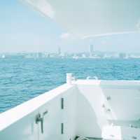 【神奈川】ラピュタの世界のような無人要塞「猿島」にこの夏は行こう🛳