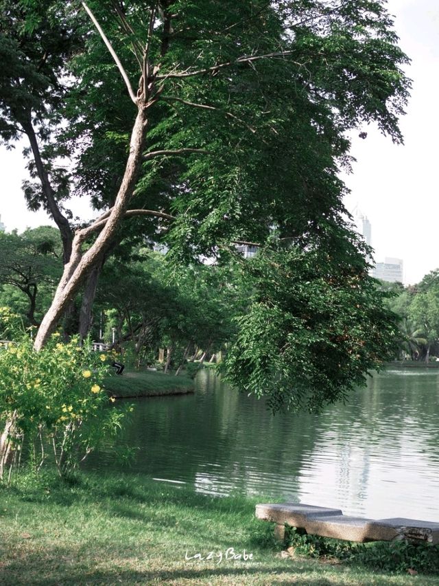 พักผ่อนหย่อนใจที่ สวนลุมพินี 🌱🌿🍃