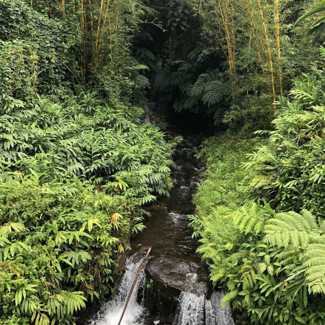 The overwhelming power of nature 🌿🌸🌊