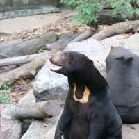 Wildlife of Saigon Zoo and Botanical Garden