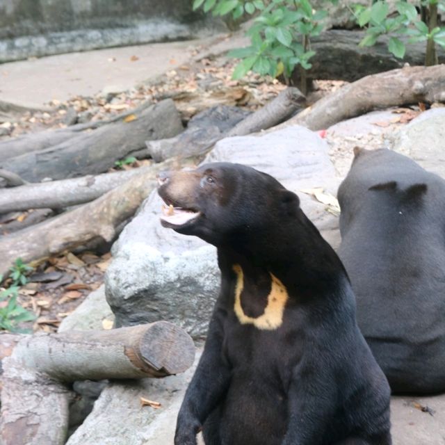 Wildlife of Saigon Zoo and Botanical Garden